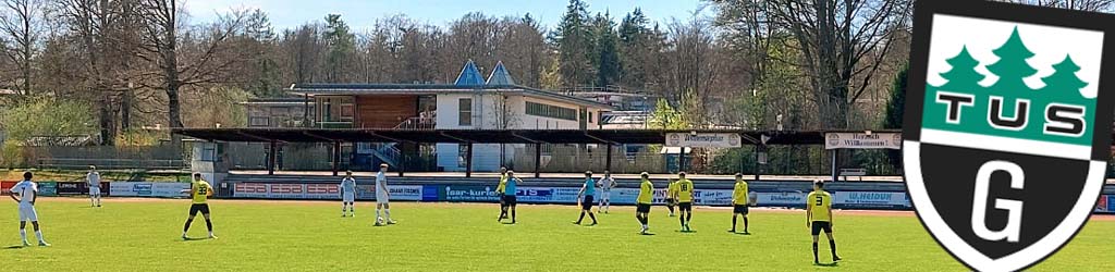 Isaraustadion